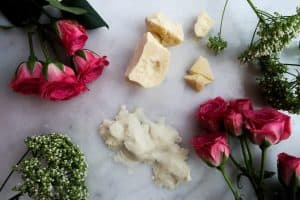 Shea Butter vs. Cocoa Butter