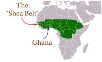 shea butter - where does it come from