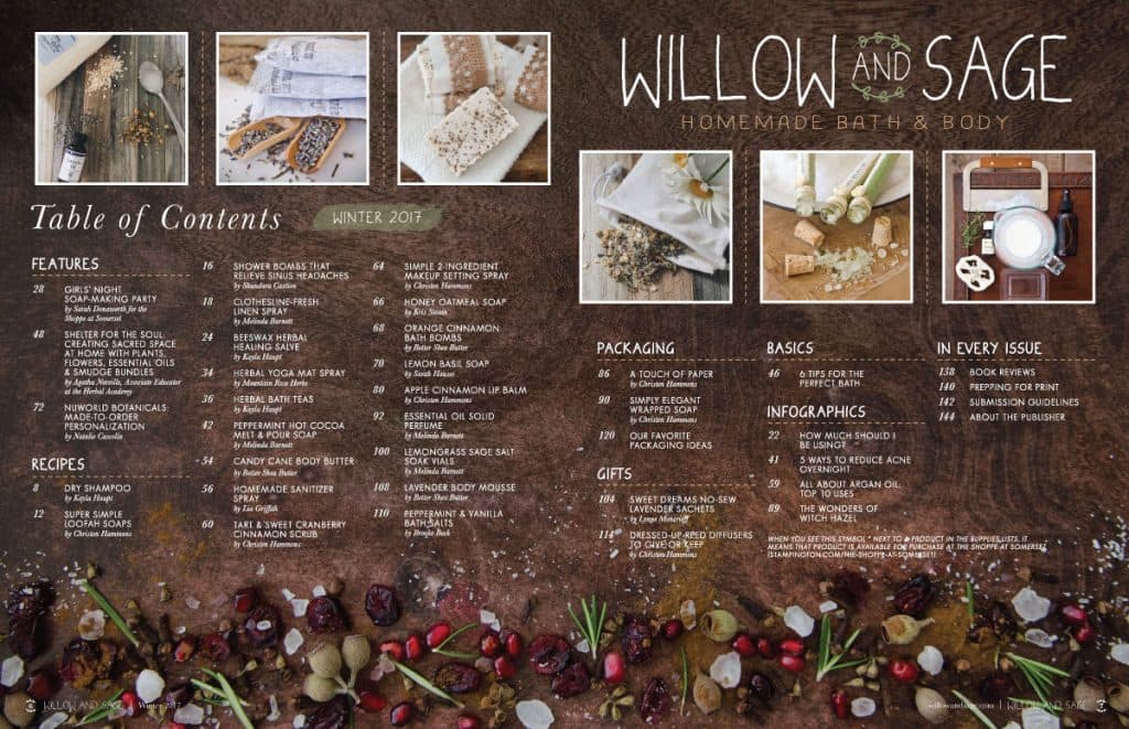 willow and sage winter 2017