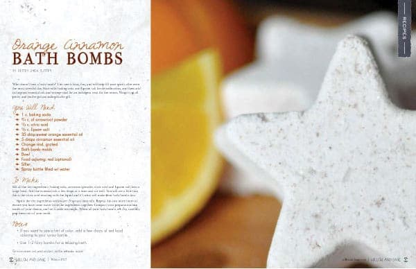 willow and sage orange cinnamon bath bombs