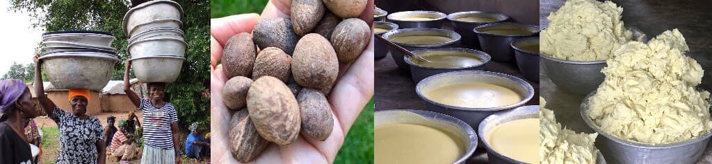 shea butter in ghana