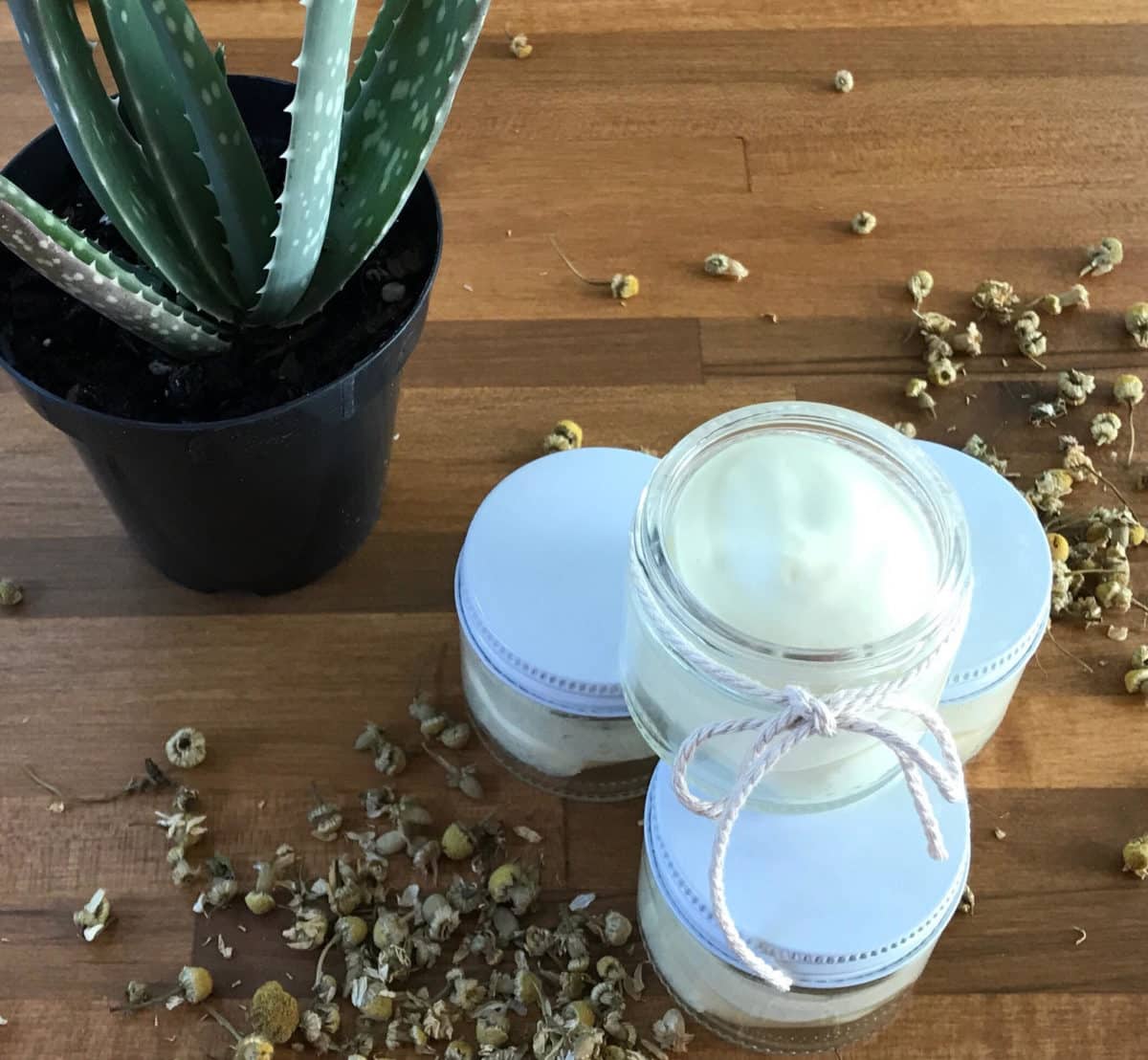 chamomile and aloe after sun cream