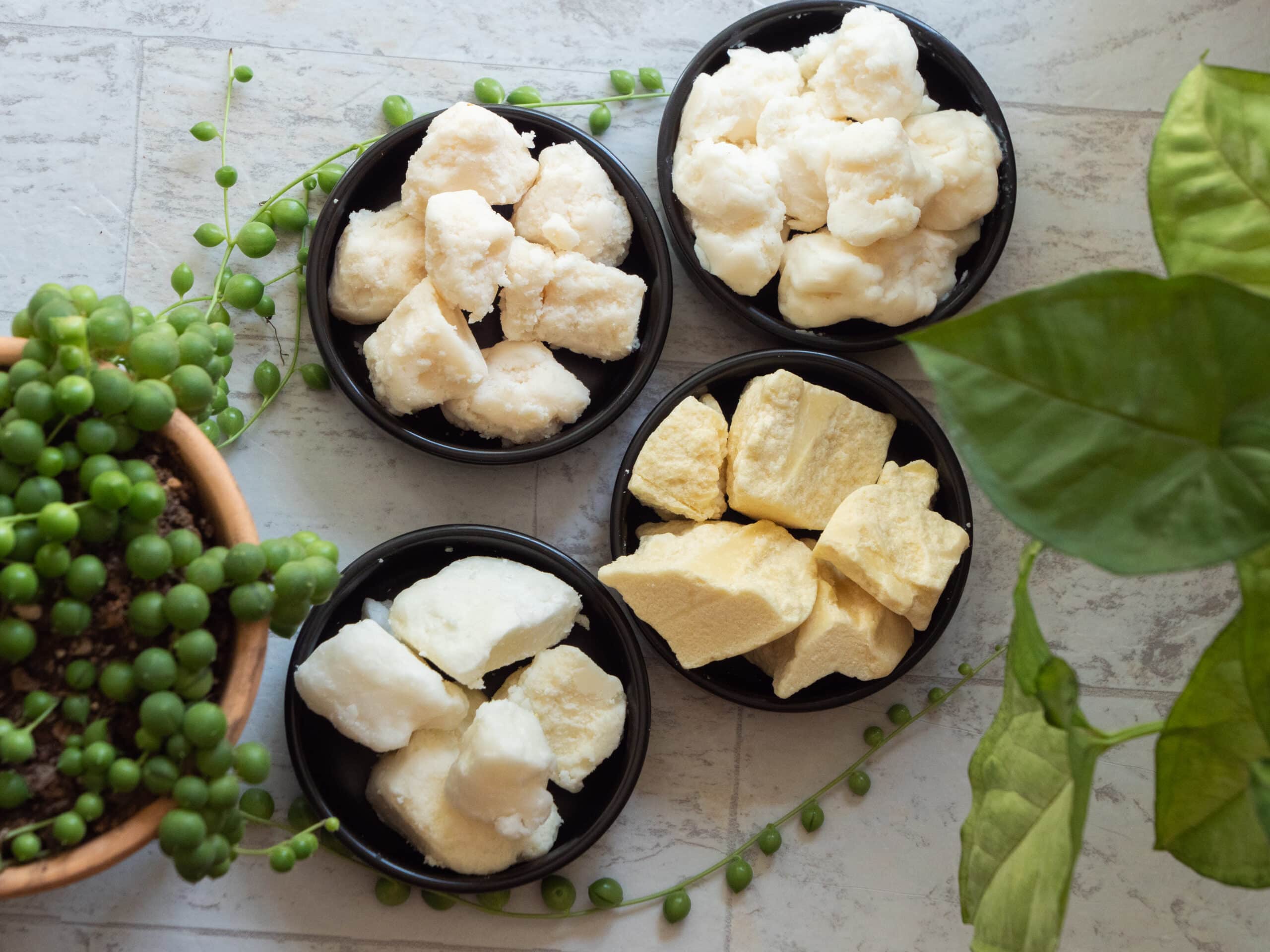 Butter Samples - Image 6