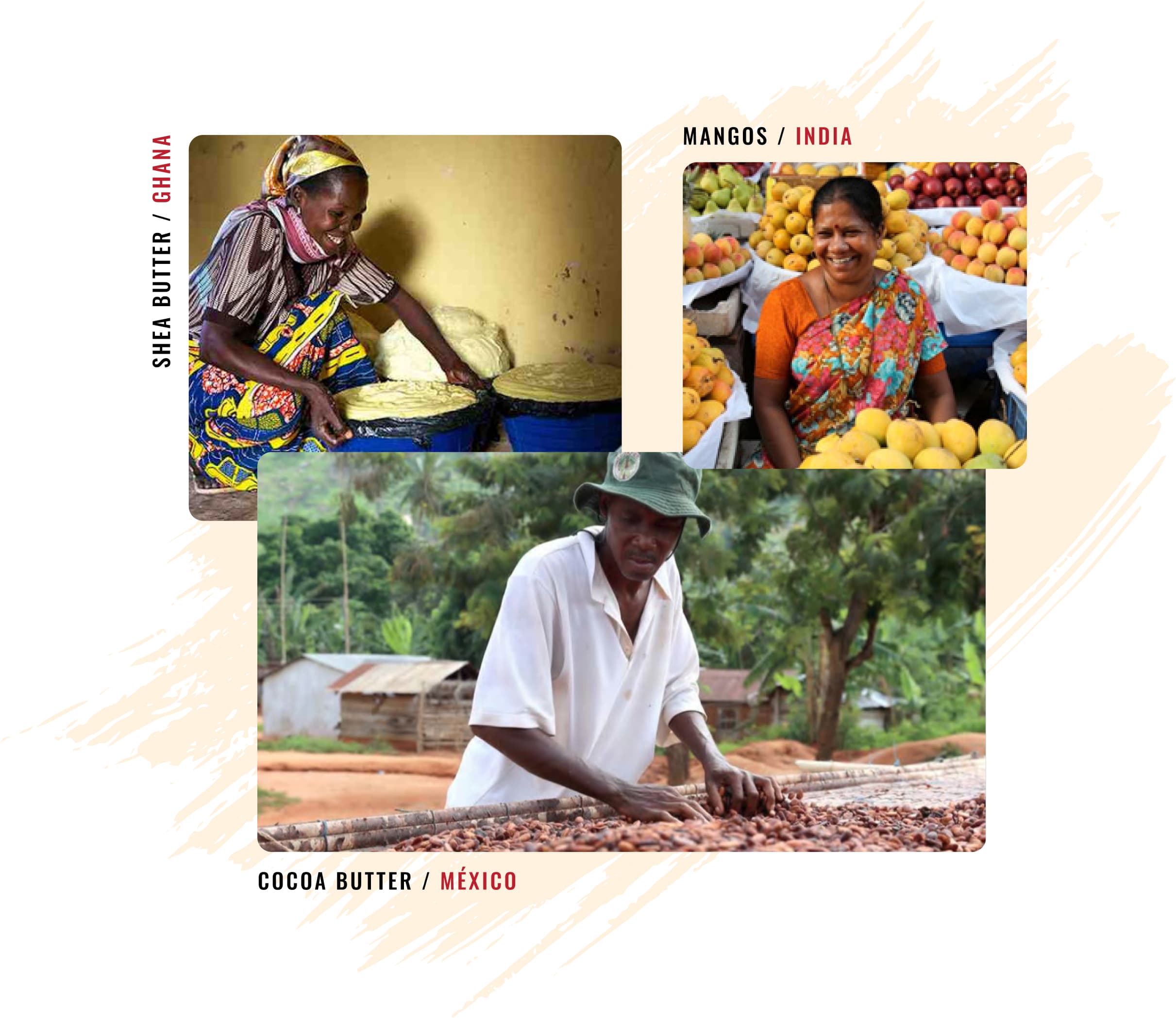 Shea Butter (Woman in Ghana), Mangoes (Woman in India), Cocoa Butter (Man in Mexico)